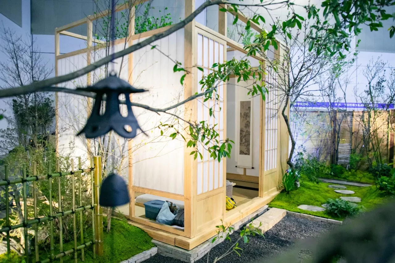 db6208b2e8160517.webp