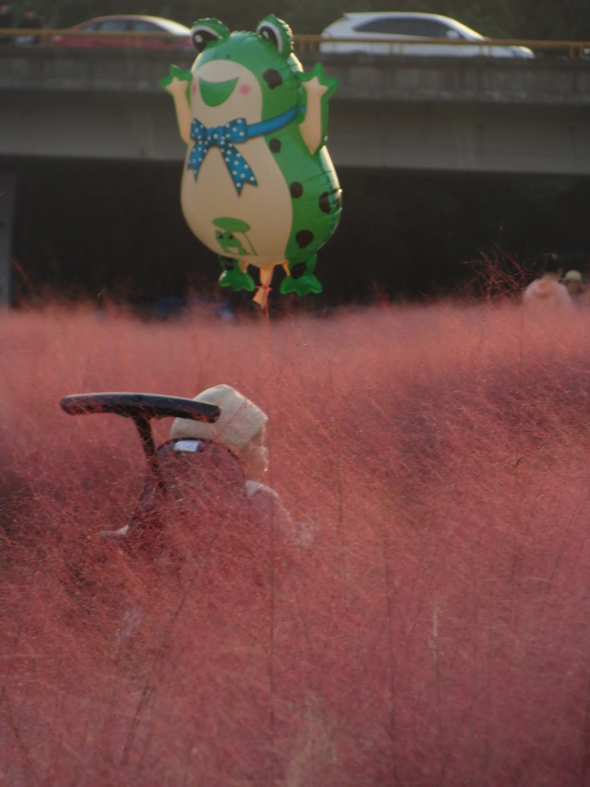 20799b4a57114228-scaled.webp