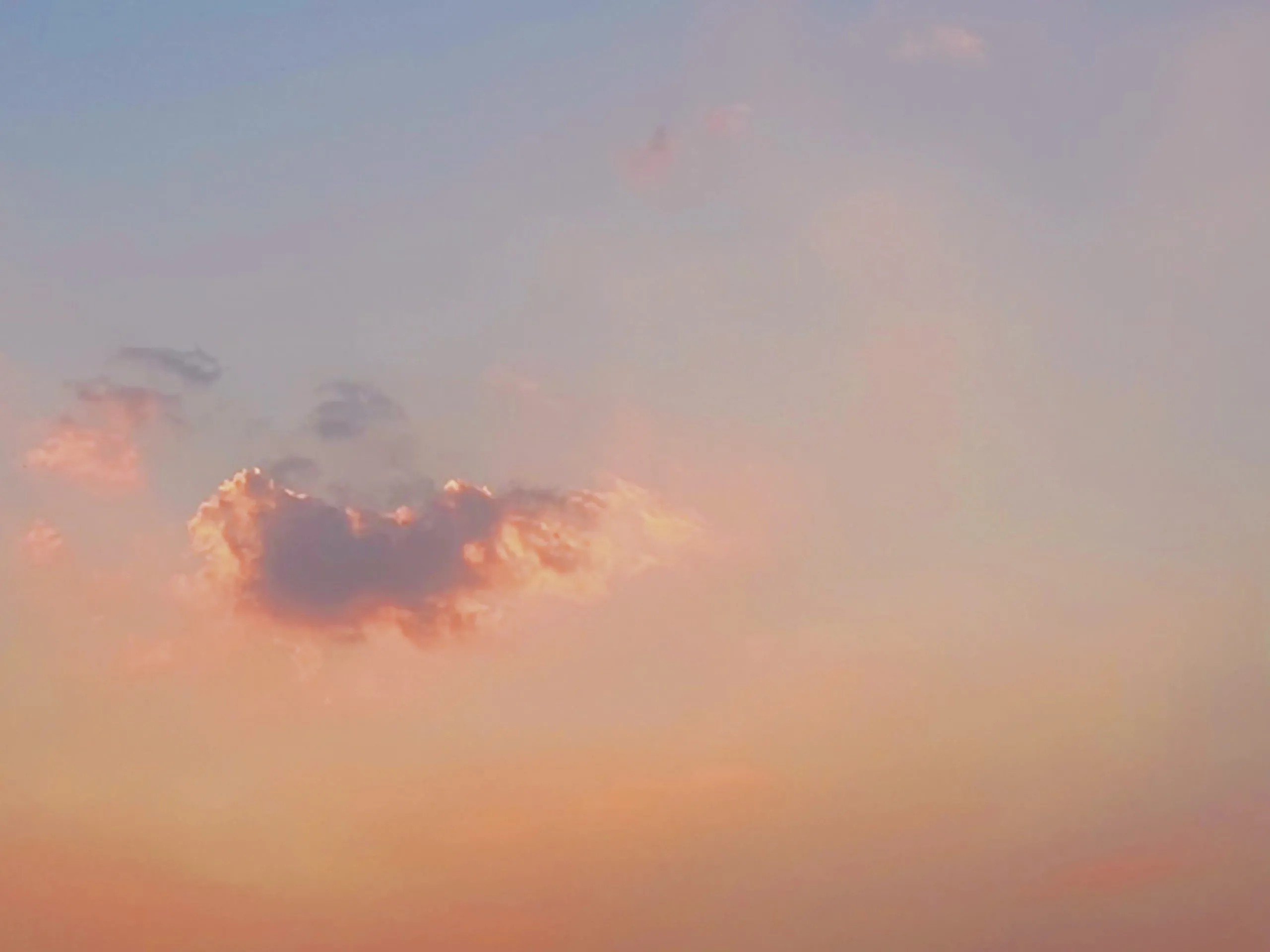 51ab6ce5c4114215-scaled.webp
