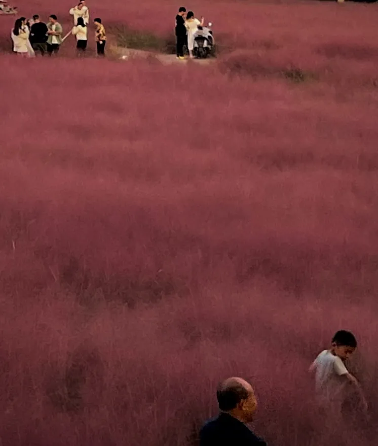 8c32773acd114346.webp