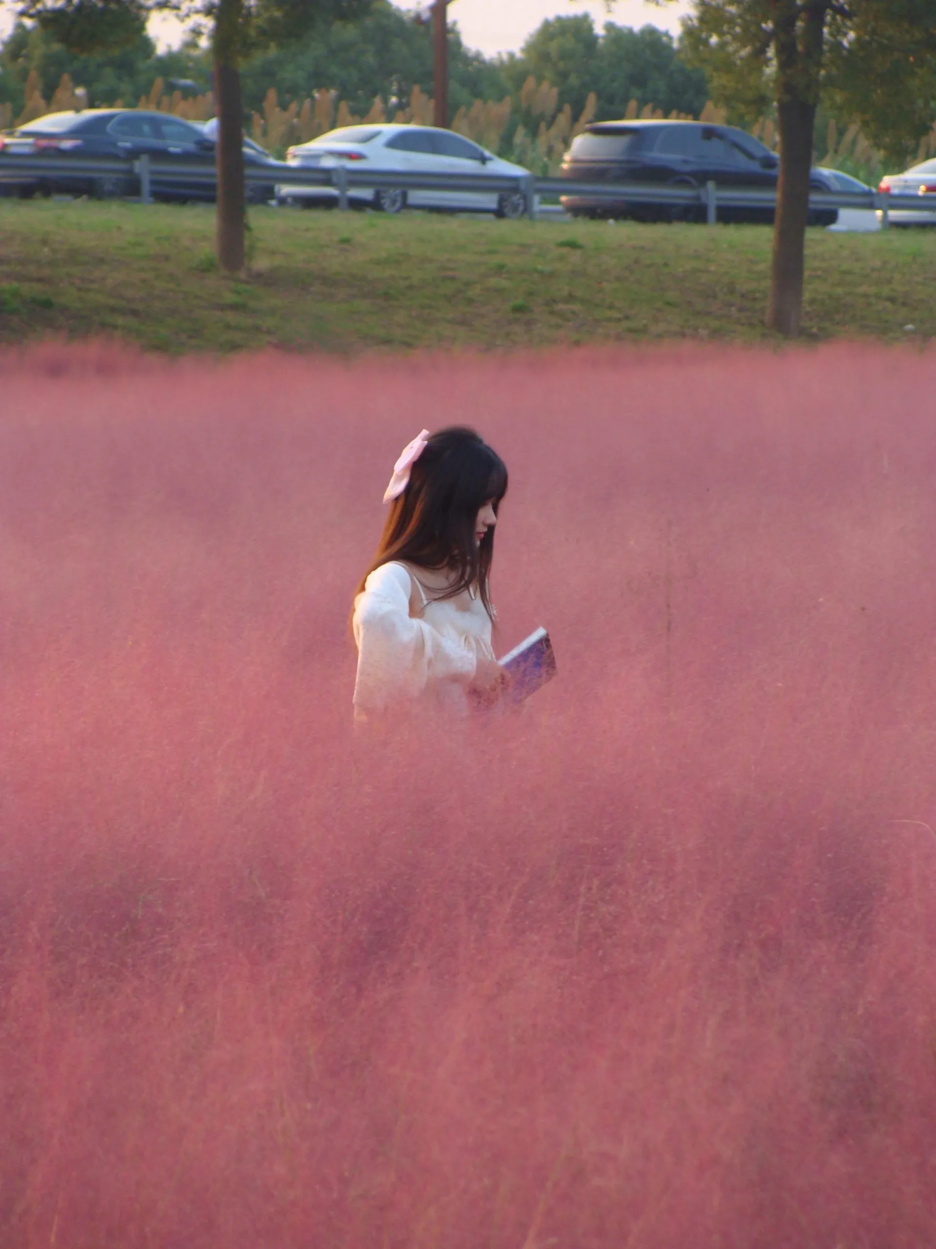 a7f8251766141431-scaled.webp