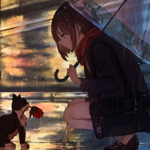 Echo的头像-二猫blog